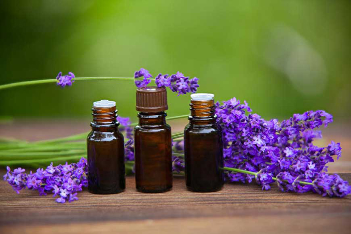 tinh dầu hoa lavender