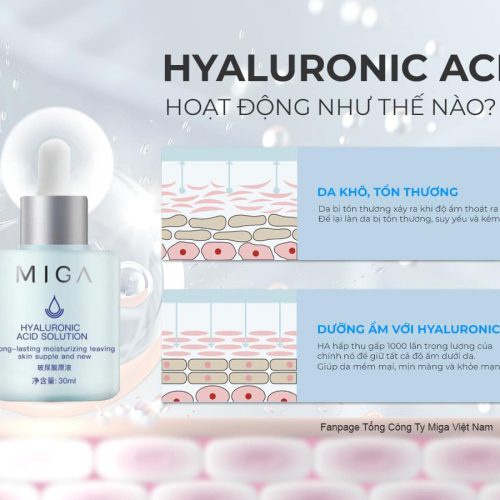 Tinh dầu HA MIGA – MIGA Hyaluronic Acid Solution là sản phẩm cấp nước ở tầng sâu của da giúp da được phục hồi nhanh chóng, tái cấu trúc hư tổn ở màng đaý của da trong thời gian ngắn